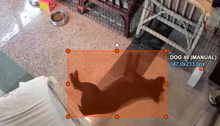 automate image annotations